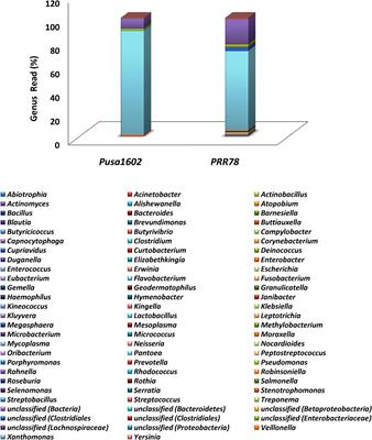 Integrated Metabarcoding and Culturomic-Based Microbiome Profiling of Rice Phyllosphere Reveal Diverse and Functional Bacterial Communities for Blast Disease Suppression
